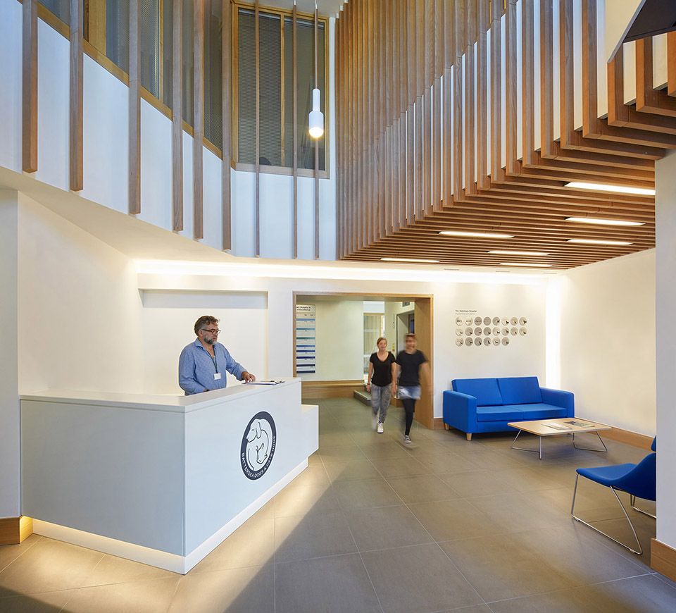 <b>宠物医院装修</b>